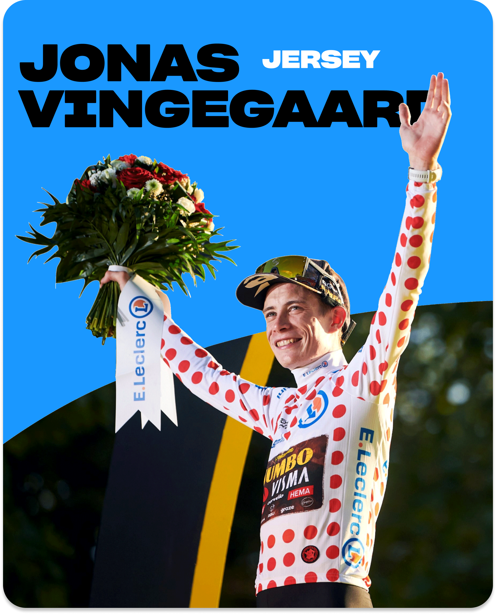Jonas Vingegaart Jersey